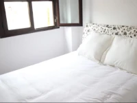 B&B Hato Verde 