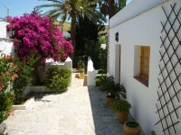 Finca La Palmera 