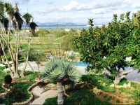Apartamentos Boutique Formentera 
