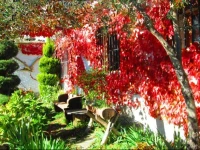 Country house Cortijo Brazal La Ventaja 