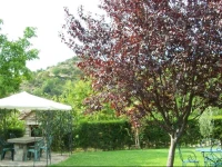 Apartamentos Casa Esperanza 