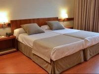 Hotel Carlton Rioja 