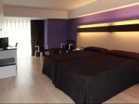 Hotel Ciudad de LogroГ±o 