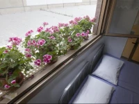 Albergue Albas 