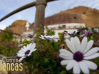 Cuevas Blancas 