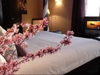 Boutique & Spa Capitulo Trece 