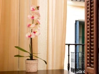 Hostal Condestable 
