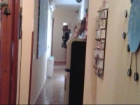 Pension Enebral 