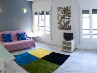 Apartamentos Puerta Del Sol - Plaza Mayor 