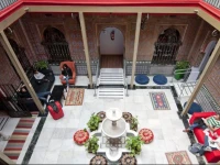 Living Cats Hostel 