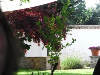 Casa Rural La Alameda 