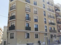 Fan Flat Rosaleda 