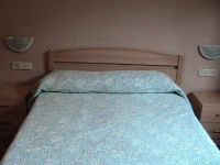 Hotel Manises 