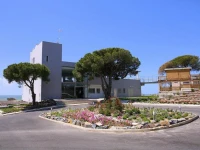 Mazagonia 