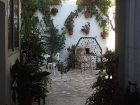 Alojamientos Casa Tejon 