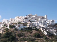 Hotel Mamabels 