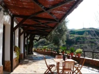 Cortijo Pilongo 