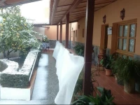 El Molino de Rosa MarГ­a Serrano 