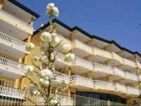Apartamentos Satse MoncГіfar 