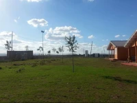 Hacienda Agricola Los Olivos 