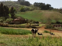 Poshada Rural 
