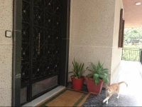 Casa del Gallo 