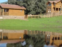 Complejo Rural Los Jarales 