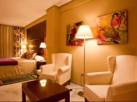 Hotel BalcГіn de Europa 
