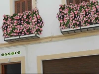 Essere 