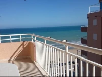 Daytona 