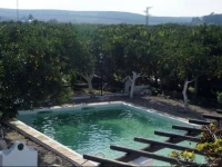 Huerta la Pimentada 