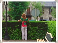 Hotel Arruebo 3*