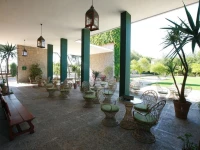 Lantana Garden 