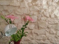 Bodega Antigua 