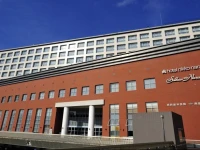 Nikko Hotel Nara 4*