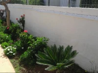 Casas de Bettina 