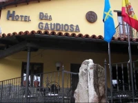 Hotel DoГ±a Gaudiosa 