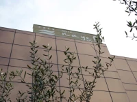 Royal Nayef 