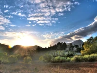 Finca Hotel Son Pont 