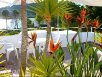 Beach Rooms 