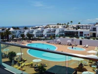 Lanzarote Palm 
