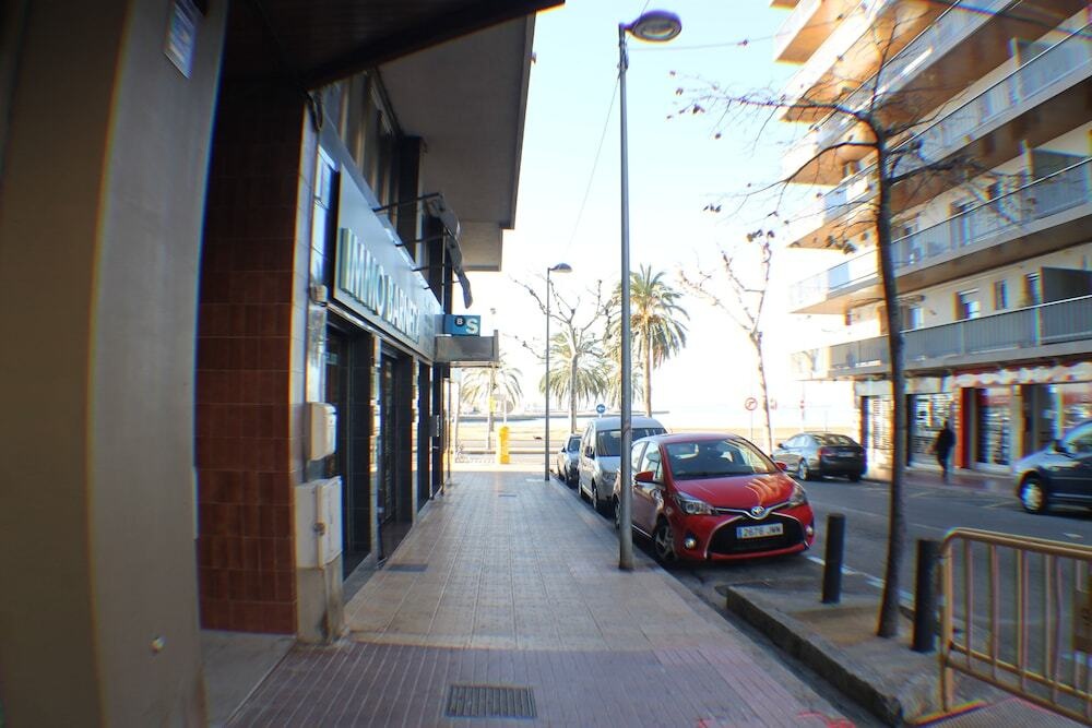 Agi Sant Jordi 