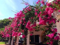 Hotel Rural Morvedra Nou 
