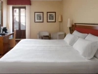 NH Salamanca Palacio de Castellanos 