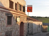 VII Carreras 