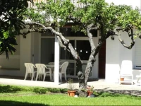 Gasela - SAN FELIU 