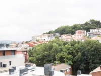 Central Luxury- SSHousing 