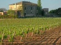 Hotel Castell de Gimenelles 