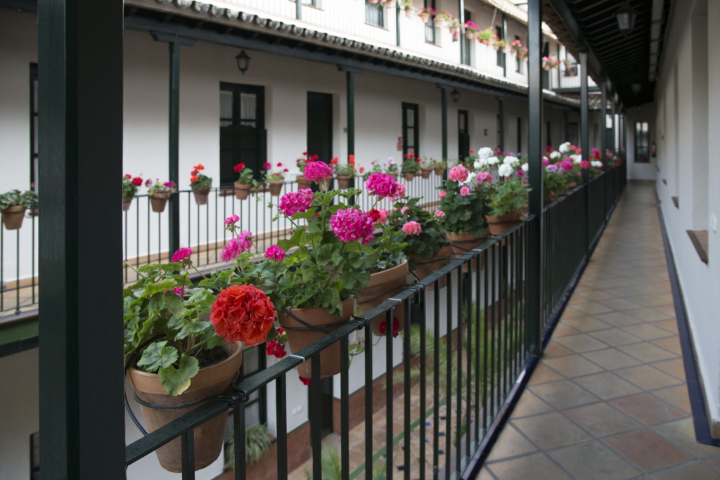 Patio De La Cartuja 