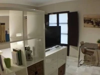 Apartment San Esteban 